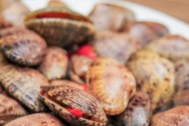 Ăn sò lụa đỏ khiến 4 người thương vong chỉ là tin đồn thất thiệt