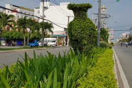 Sóc Trăng làm rõ vụ chi 104 tỷ đồng để trồng cây xanh 