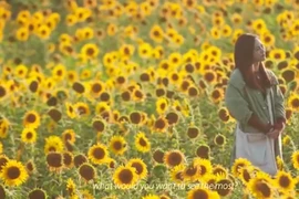 Video: Vùng đất có tuyết mùa hè đẹp lạ kỳ ở Hokkaido