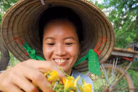 Những món ngon, bài thuốc quý từ bông điên điển