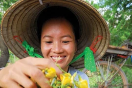 Những món ngon, bài thuốc quý từ bông điên điển