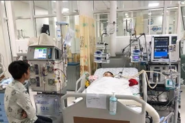 Bạc Liêu: Bị nguyên tổ ong vò vẽ đốt, 5 bà cháu thương vong