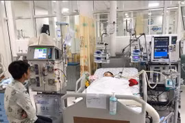 Bạc Liêu: Bị nguyên tổ ong vò vẽ đốt, 5 bà cháu thương vong