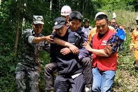 Lạc trong rừng 5 ngày, người đàn ông TQ ăn loại cây này để sống sót