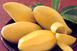 3 vị thuốc viagra thiên nhiên không phải ai cũng biết