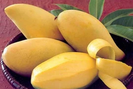 3 vị thuốc viagra thiên nhiên không phải ai cũng biết