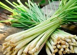 9 thực phẩm ăn thường xuyên muỗi chắc chắn tránh xa