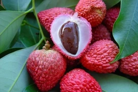 Bài thuốc dân gian trị quai bị hiệu quả ít người biết