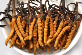 70% đông trùng hạ thảo là hàng giả, kém chất lượng