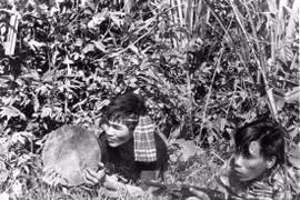 Bộ ảnh đặc biệt năm Mậu Thân 1968 của quân đội Mỹ (2)