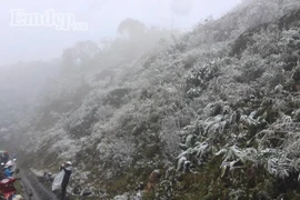 Video: Tuyết rơi phủ trắng đèo Ô Quy Hồ, Sapa