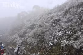 Video: Tuyết rơi phủ trắng đèo Ô Quy Hồ, Sapa