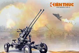 Infographic: Vũ khí Việt Nam trong chiến dịch ĐBP trên không (4)