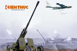 Infographic: Vũ khí Việt Nam trong chiến dịch ĐBP trên không (7)