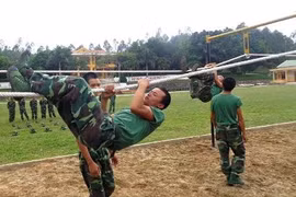 Mục kích bộ đội Sư đoàn 316 luyện thể lực