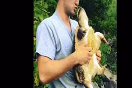 Video: Rùa ra đòn nhanh khiến thanh niên này không đỡ kịp