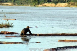 Chạm mặt cảnh sát đường thủy, vứt bỏ 50 phách gỗ lậu trên sông