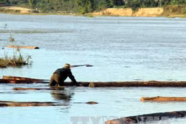 Chạm mặt cảnh sát đường thủy, vứt bỏ 50 phách gỗ lậu trên sông