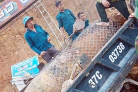 Kích nổ quả bom nặng 1,3 tấn phát hiện trong vườn nhà dân