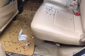 Chở khách đi đám cưới về, tài xế taxi "mếu máo" khi thấy cảnh tượng này