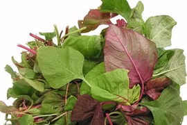 Bài thuốc chữa tiêu chảy cực kỳ đơn giản từ rau dền