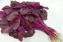 Món ngon từ rau dền đỏ cho mùa hè thanh mát