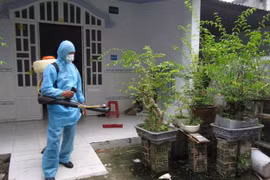 Phun thuốc diệt muỗi sai cách là rước họa vào nhà