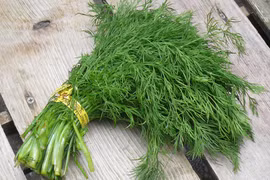 5 món ăn thiếu rau thì là sẽ trở nên vô vị