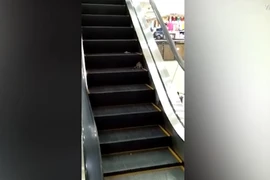 Chuột khổng lồ tấn công khách đi thang máy trong siêu thị