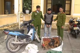 Bị truy nã gắt gao vẫn tranh thủ thực hiện 150 vụ trộm...gà