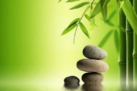 Ngộ ra nhiều điều từ những câu chuyện thâm thúy về cuộc đời