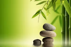 Ngộ ra nhiều điều từ những câu chuyện thâm thúy về cuộc đời