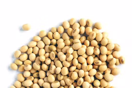 Người bệnh ung thư vòm họng nên ăn gì?