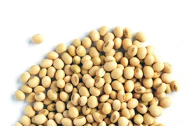 Người bệnh ung thư vòm họng nên ăn gì?