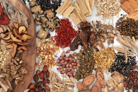 Lưu ý khi sử dụng thảo dược để điều trị bệnh