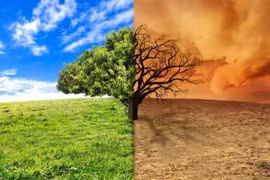 Tác động của biến đổi khí hậu đến bệnh truyền nhiễm 