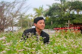 Vườn tam giác mạch rực rỡ giữa lòng phố núi Pleiku