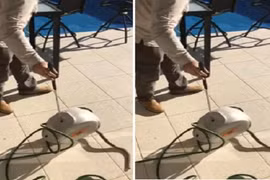 Thấy đồ gia dụng bị hỏng, không ngờ có con vật kịch độc bên trong