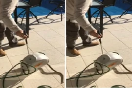 Thấy đồ gia dụng bị hỏng, không ngờ có con vật kịch độc bên trong