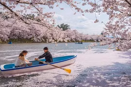 Những lễ hội giúp bạn "kéo dài mùa xuân"