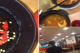 Clip giòi "bơi" ngoe nguẩy trong bát nước chấm gây sốc dân mạng