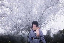 Dân phượt nô nức lên đỉnh Tà Xùa ngắm băng tuyết vui như trẩy hội