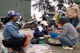 Ngư dân Thanh Hóa trúng đậm “lộc biển” bán giá cả triệu đồng