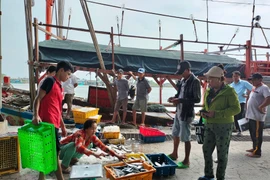 Ngư dân chở ‘lộc biển’ về bờ với nhiều khoang tàu đầy ắp cá
