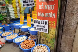 Trứng gà bán với giá “rẻ chưa từng có”, người nuôi nói gì?