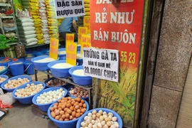 Trứng gà bán với giá “rẻ chưa từng có”, người nuôi nói gì?