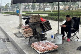 Trứng gà ở Mỹ có giá đắt đỏ, ở Việt Nam bán rẻ bèo