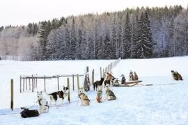 Hút hồn cảnh sắc thiên nhiên “thay áo” sang đông ở Phần Lan