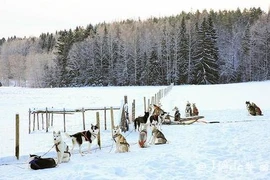 Hút hồn cảnh sắc thiên nhiên “thay áo” sang đông ở Phần Lan