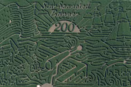 Ruộng ngô mê cung đẹp một vòng nước Mỹ